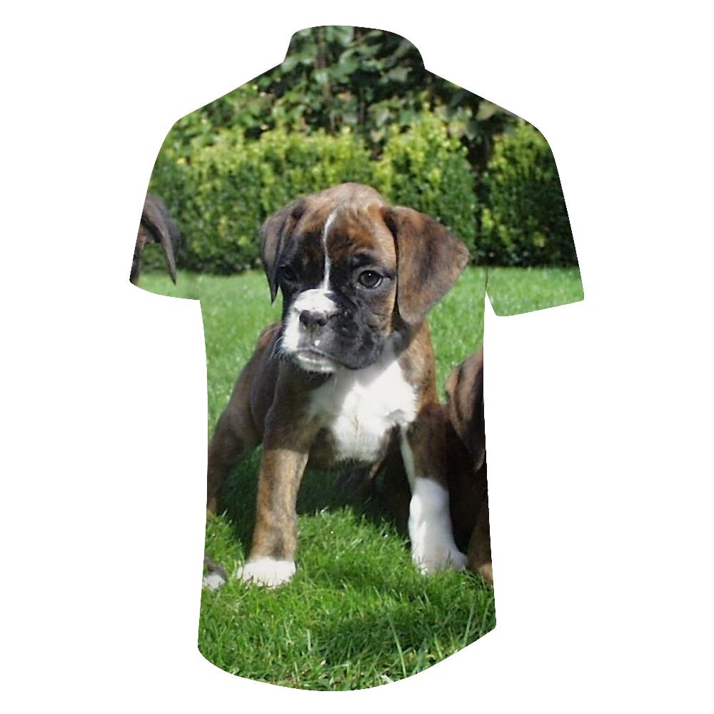 
Sanfutian Boxer Dog Men's 3D Print Casual Button Down Shirts Novelty Hawaii Short Sleeve
                
