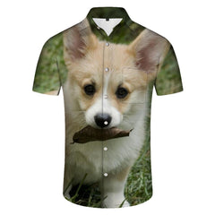 Cute Corgi Printed Pattern Men's Simple Shirt Casual Button Short Sleeve Summer Beach Shirt Vacation Shirt