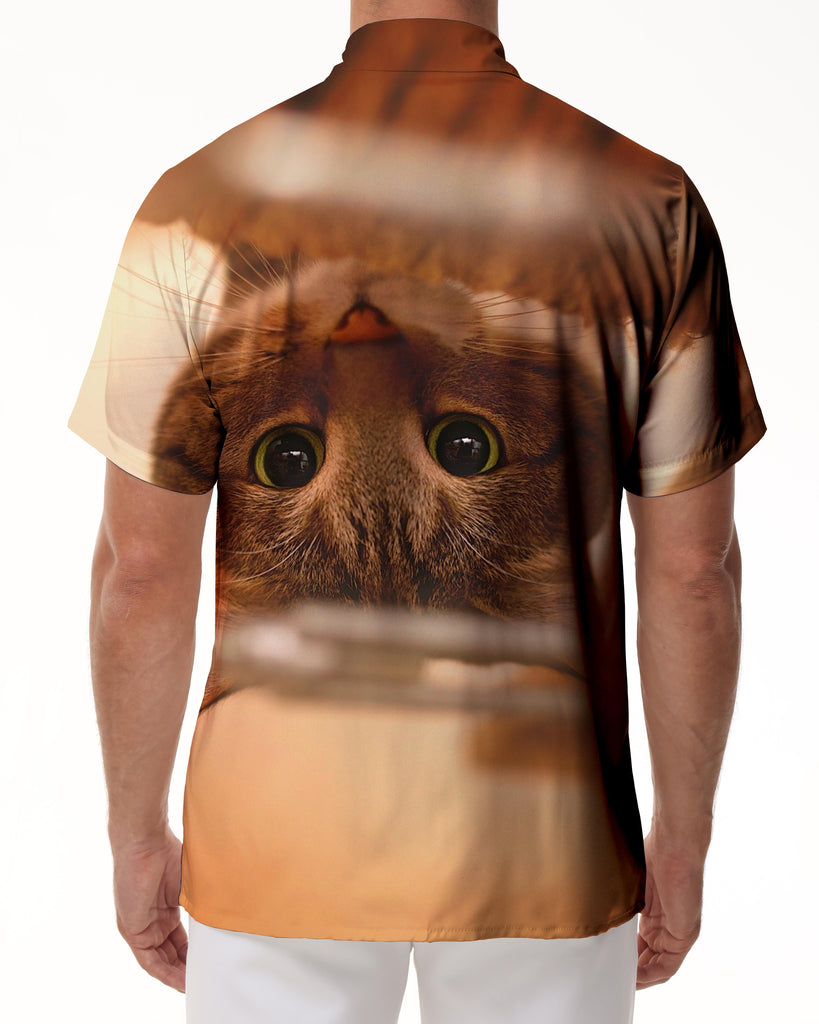 
Cat Print Men's Short Sleeve Hawaiian Shirt Casual Button-Up Vacation Beach Party Shirt with Funky Animal Print
                