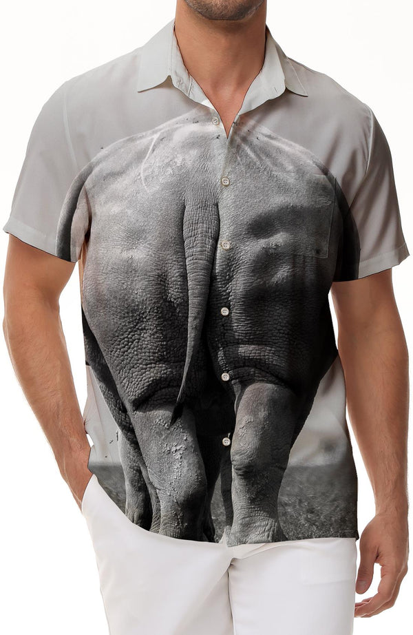 Beach Hawaiian Shirt Men's 3D Print Streetwear Fashion Short Sleeve Casual Shirt Men's Tops Shirt Menswear