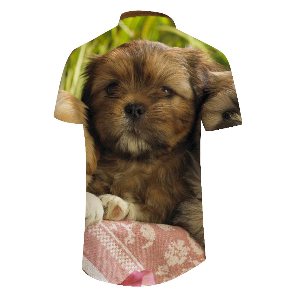 
Brown Shih Tzu Puppy Mens Casual Loose Tropical Vacation Beach Button Lapel Hawaiian Short Sleeve Shirt
                