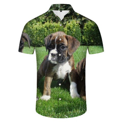 Sanfutian Boxer Dog Men's 3D Print Casual Button Down Shirts Novelty Hawaii Short Sleeve